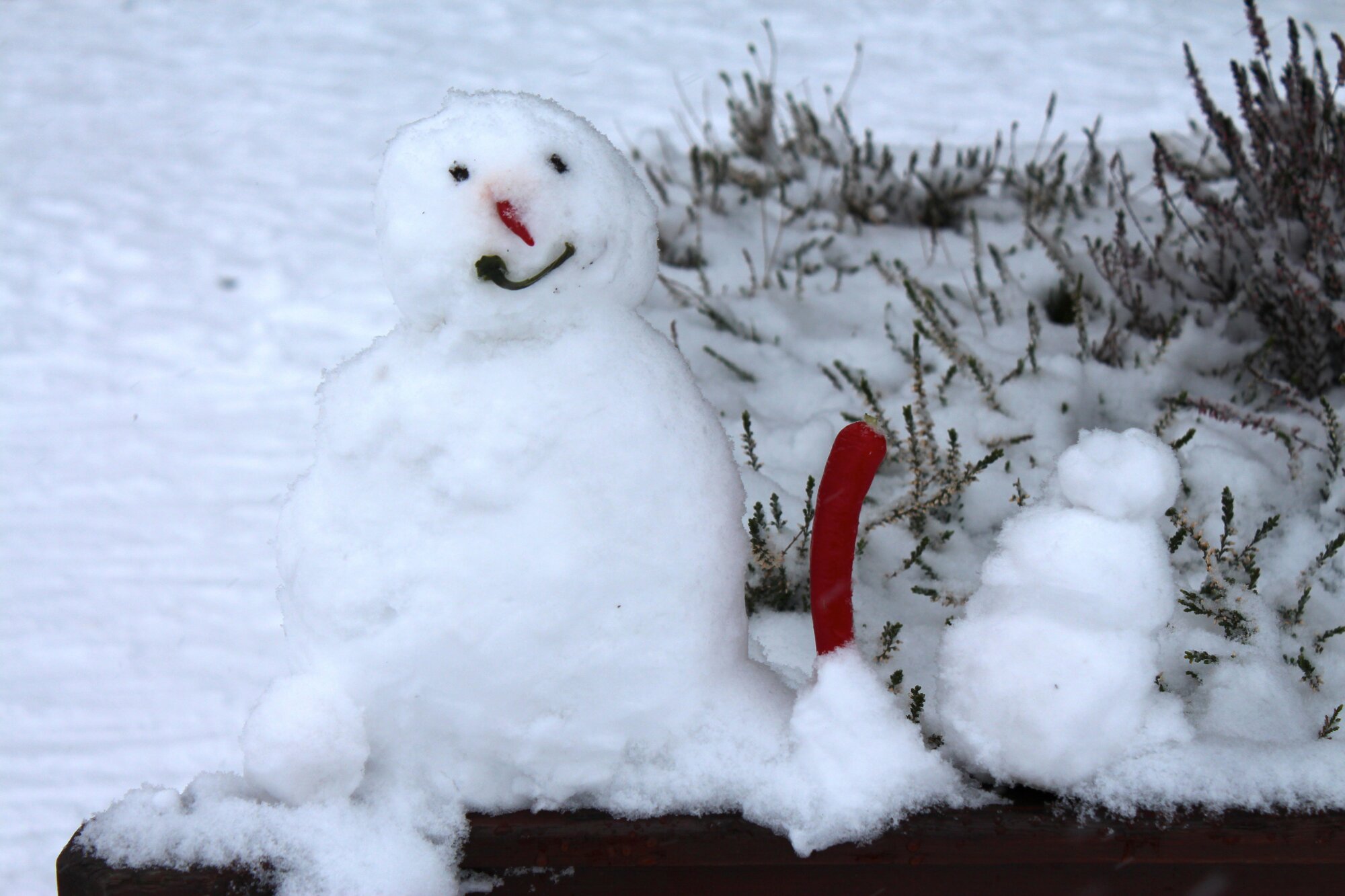 Chilli snowman
