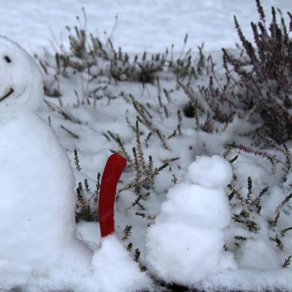 Chilli snowman