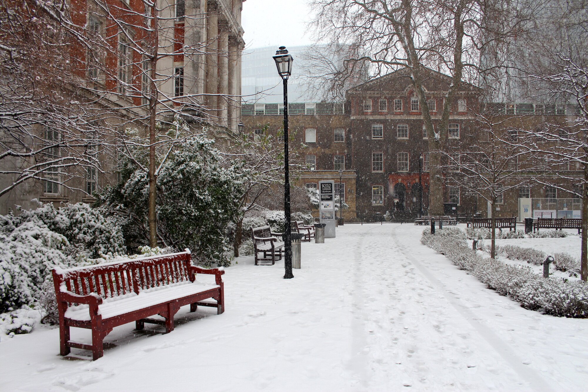 King's College campus @ Guy's Hospital in the snow