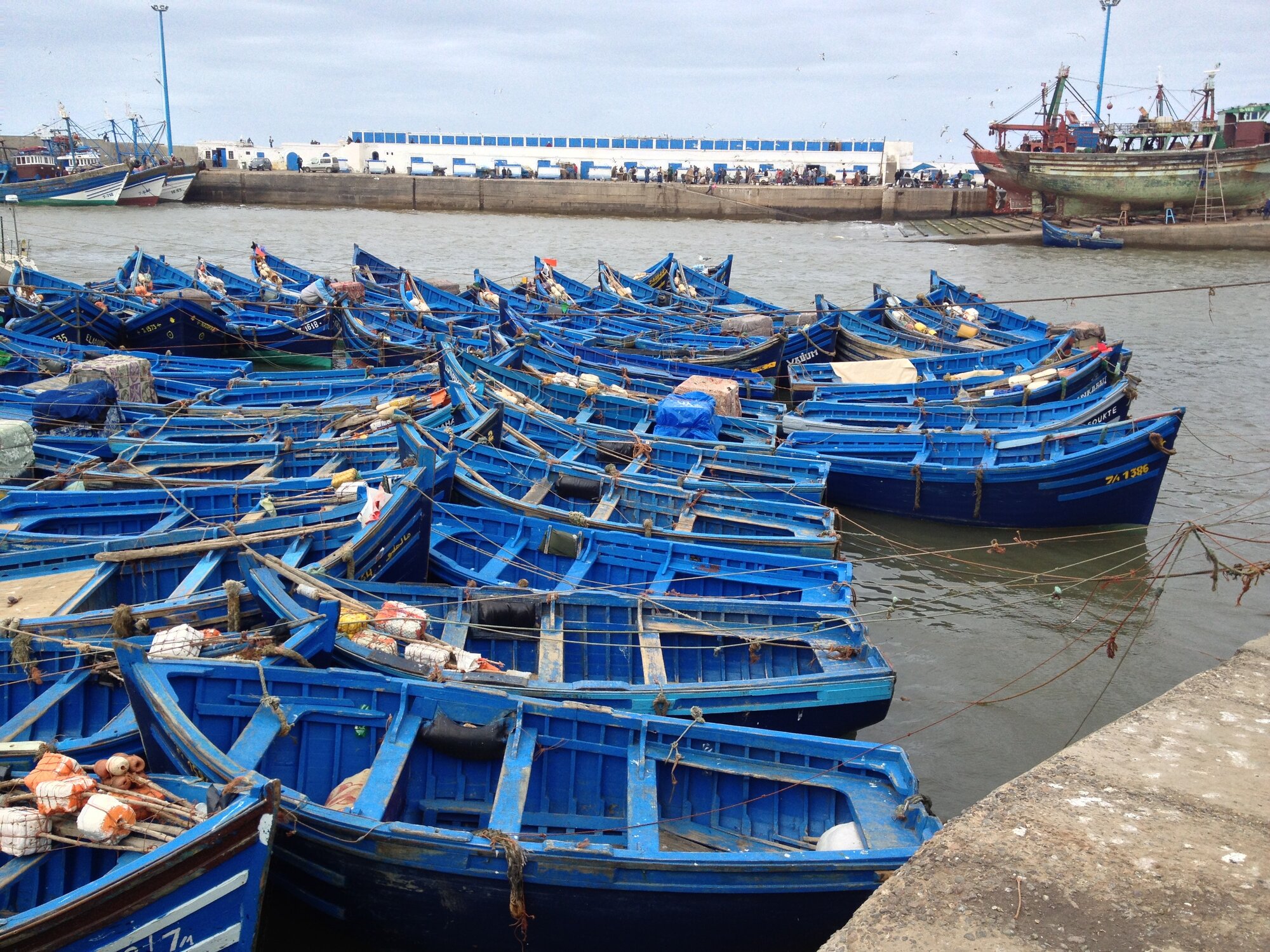 Blue boats
