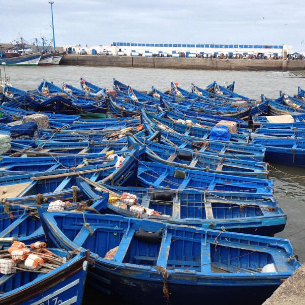 Blue boats