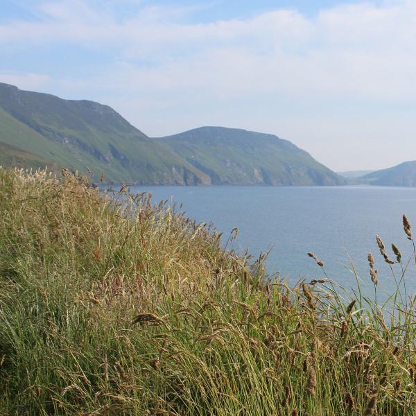 Coastal footpath