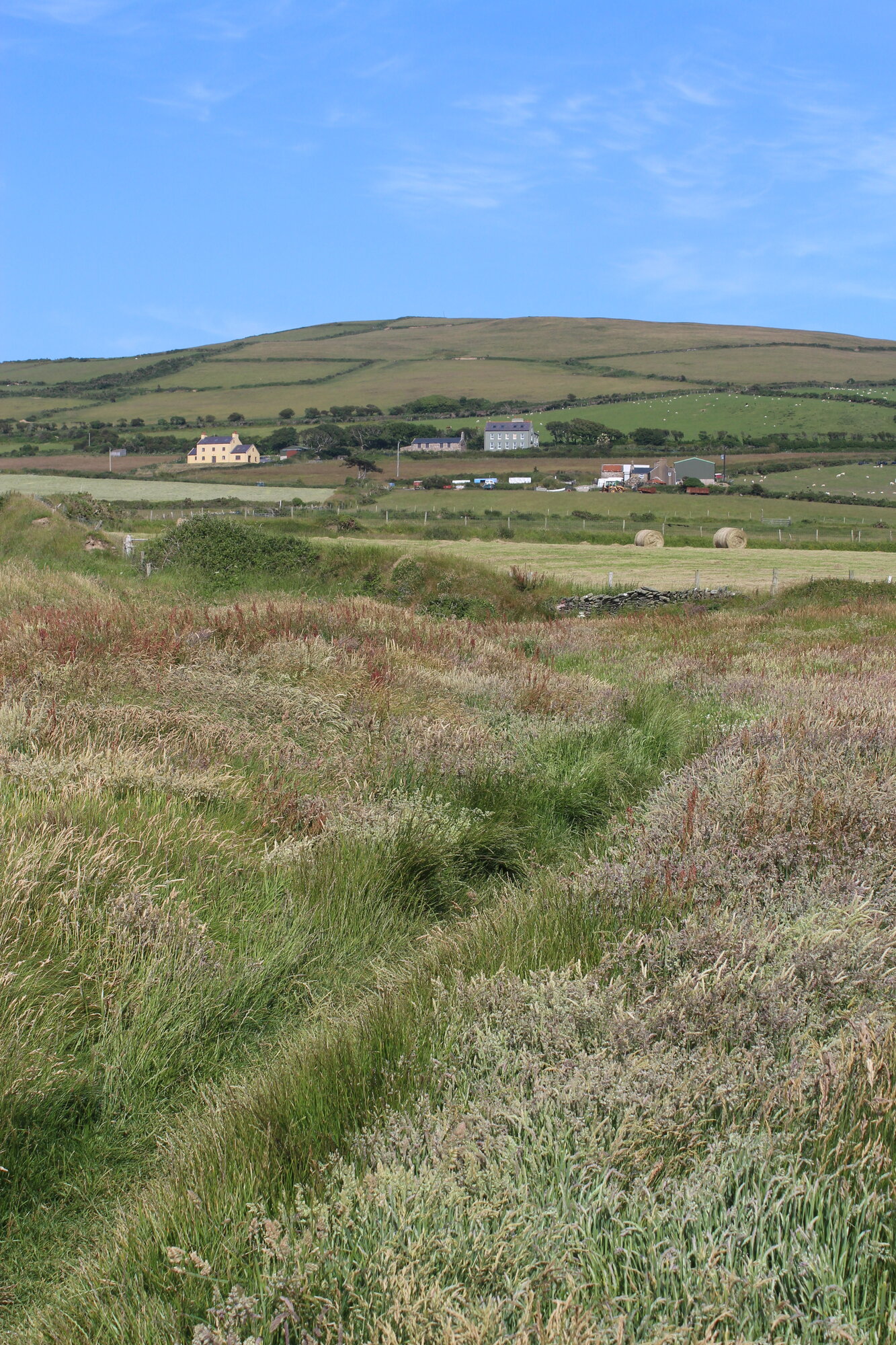 Dalby Village