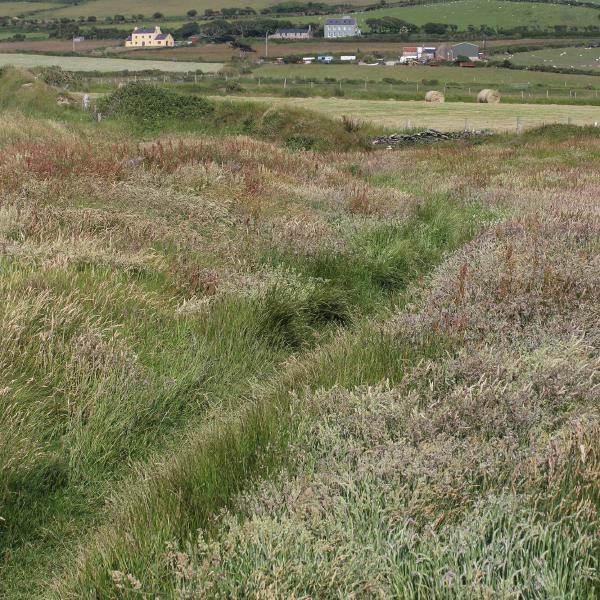 Dalby Village