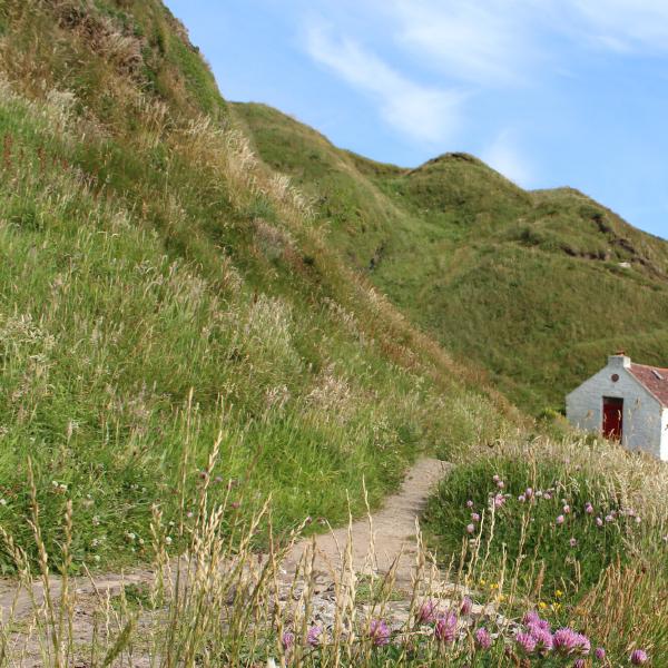 Knockuskey Cottage