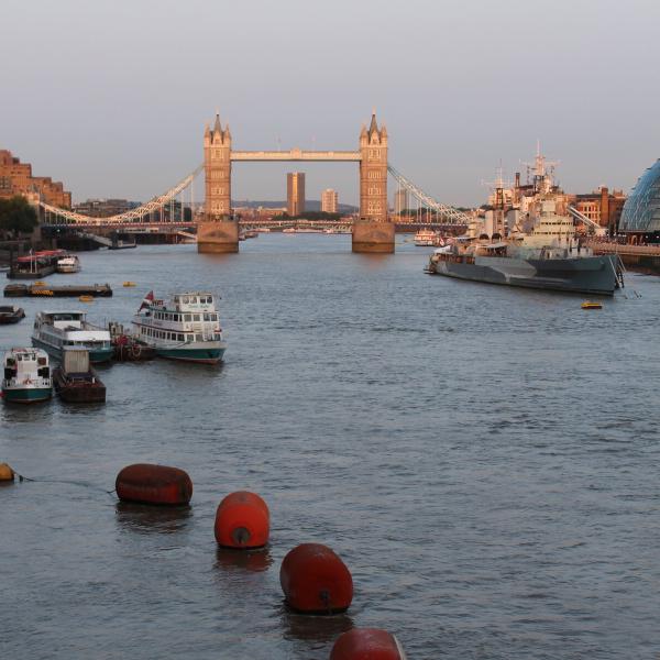 Thames cushions