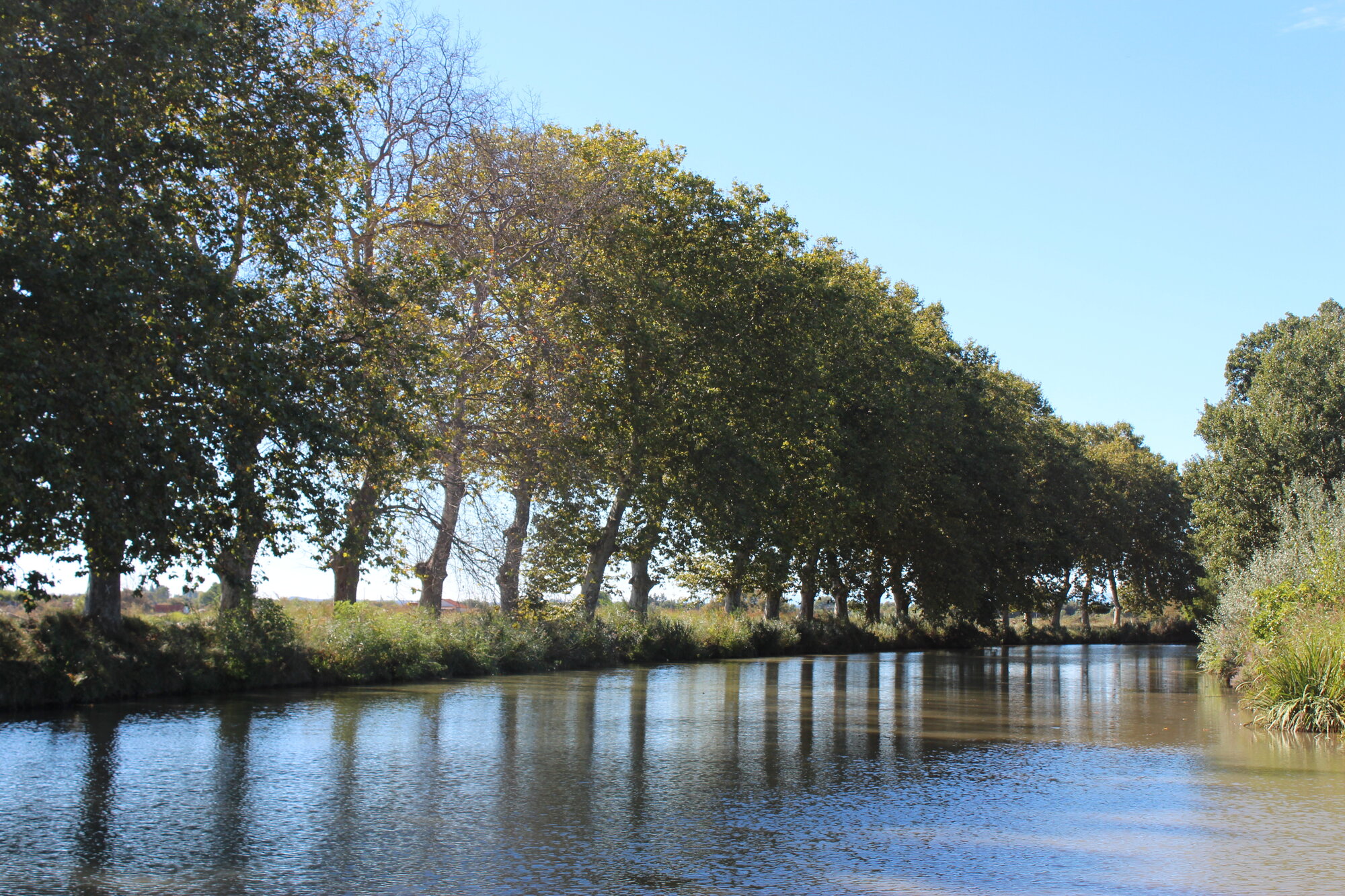 Canal du Midi