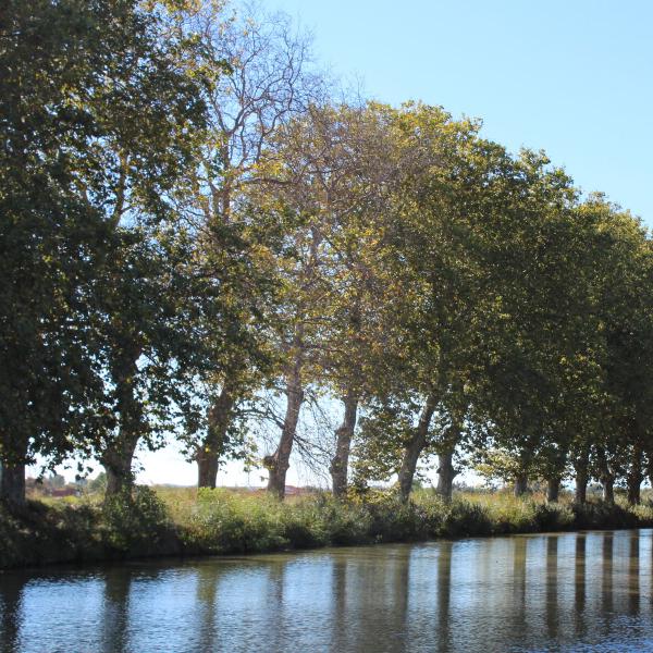Canal du Midi