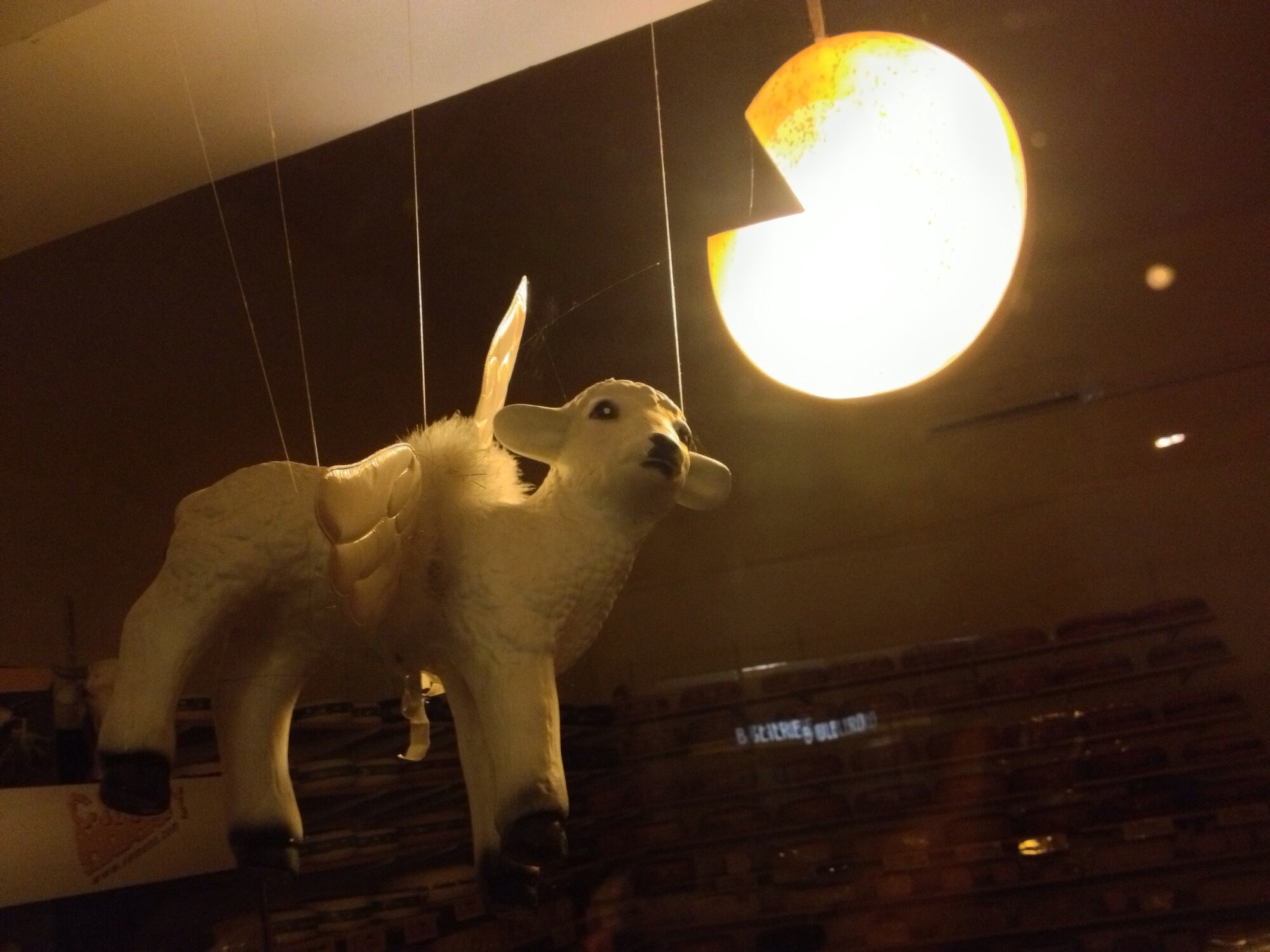 Flying lamb with cheese