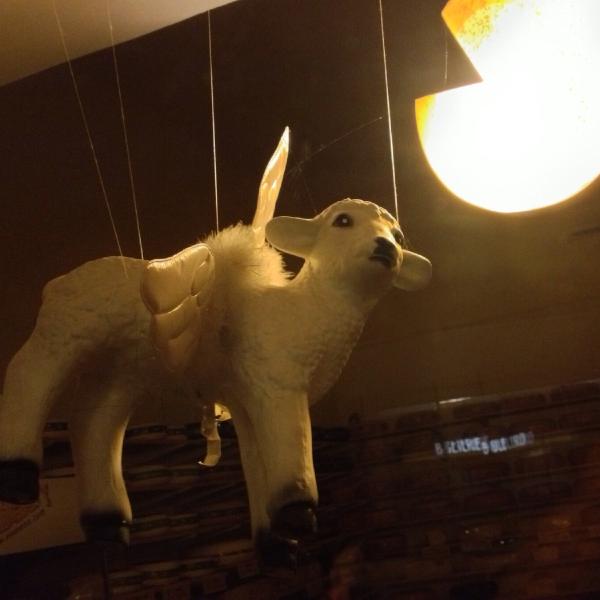 Flying lamb with cheese