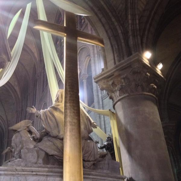 Shining in Notre Dame
