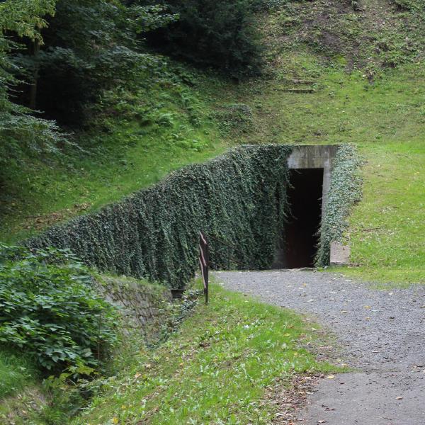 Through the hillside