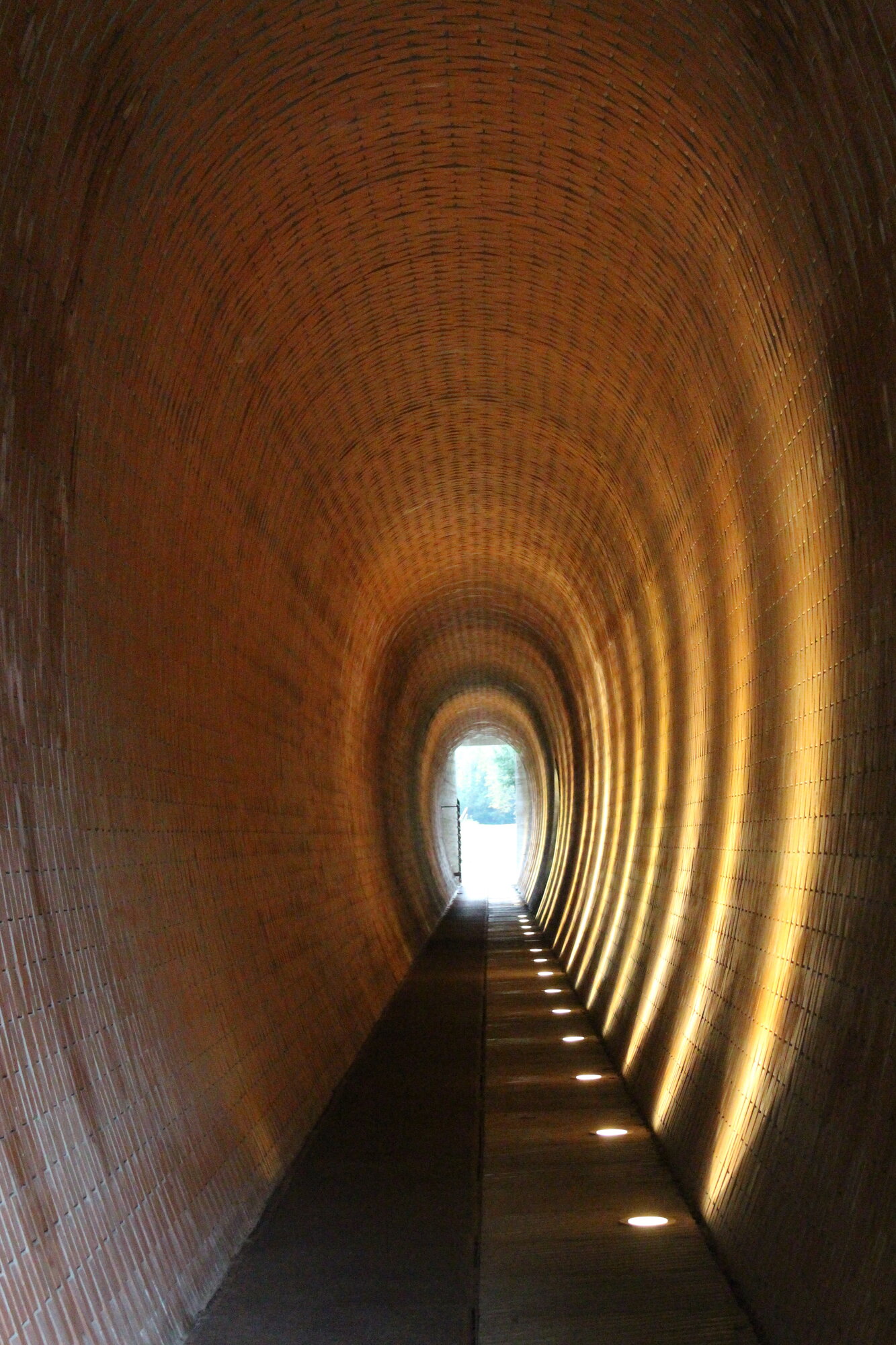 Tunnel vision