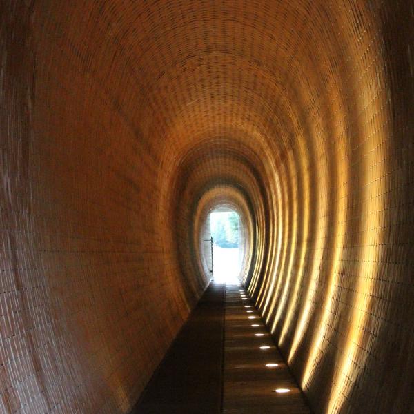 Tunnel vision