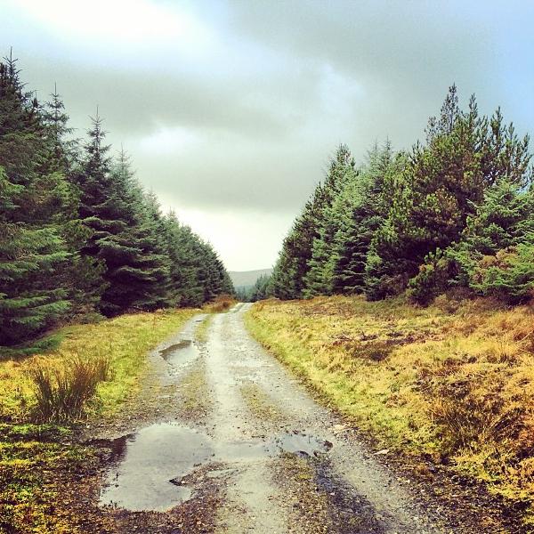 After the rain isleofman