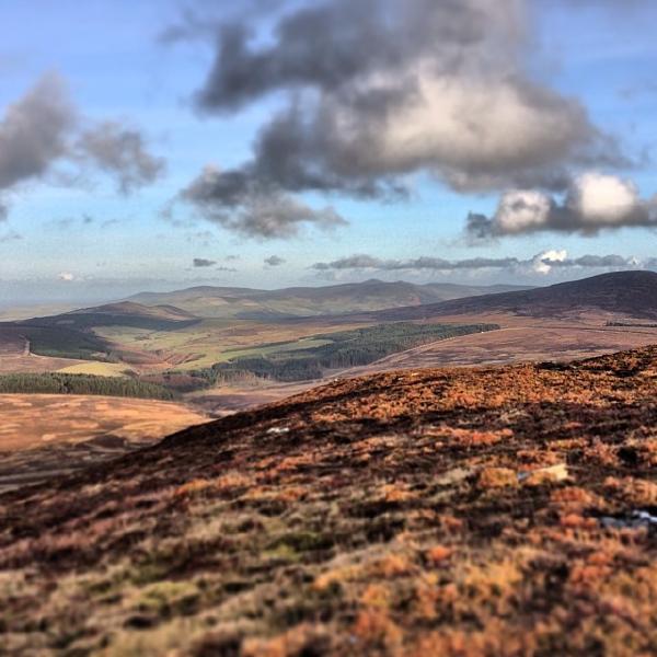 Manx hills