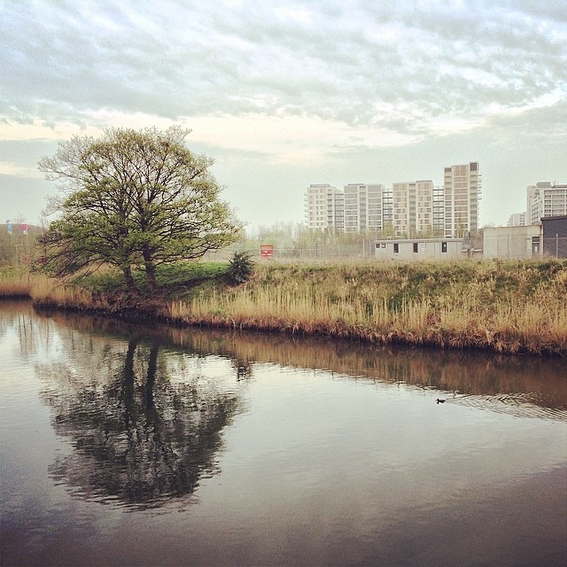 A new park for the city