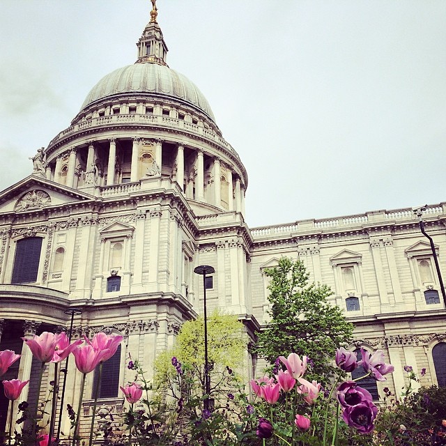 St Pauls in Bloom