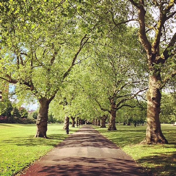 A run in the park