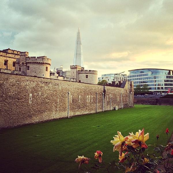 Flowers at the Tower