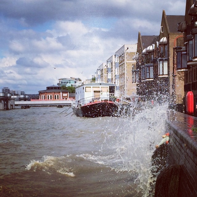 Random teddy taking a bath in the Thames