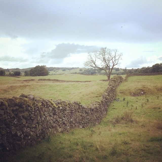 Dry stone walling