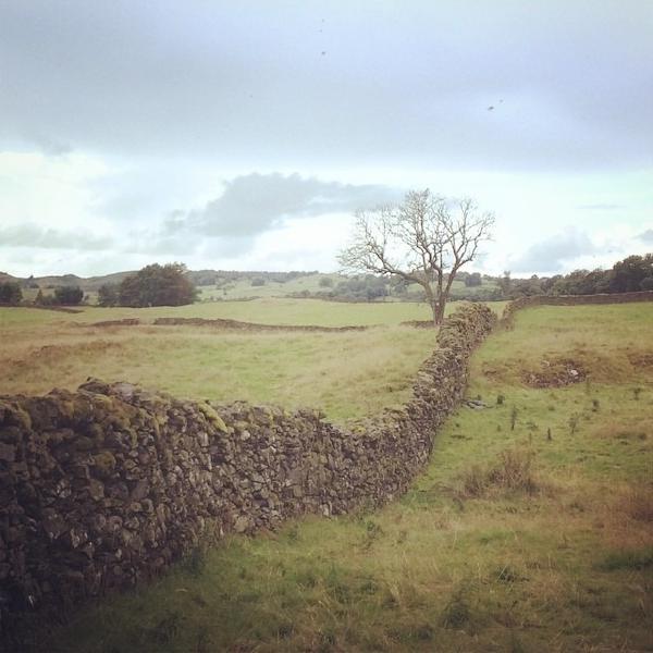 Dry stone walling