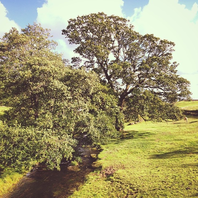 lakedistrict countryside