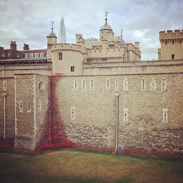 london toweroflondon towerpoppies ww1 remembrance poppies