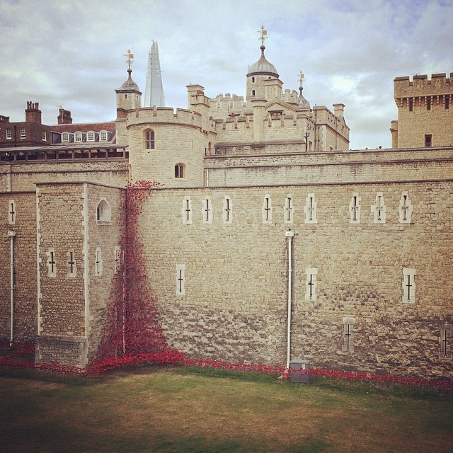 london toweroflondon towerpoppies ww1 remembrance poppies