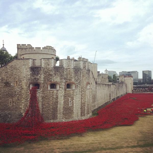 Poppies pouring from the Tower