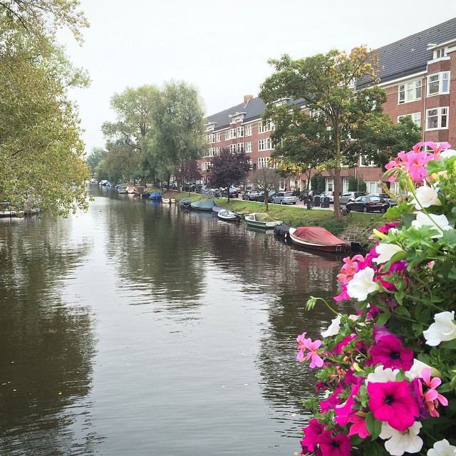 amsterdam canal flowers boats