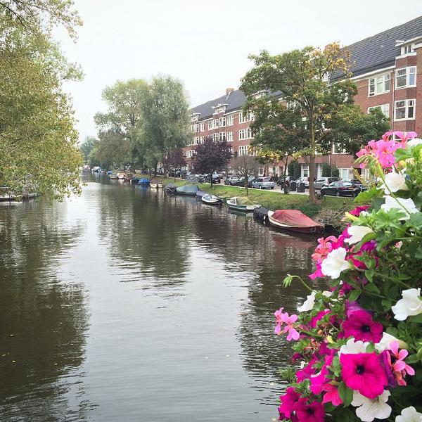 amsterdam canal flowers boats