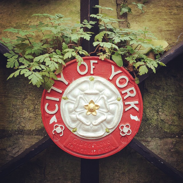 City of York