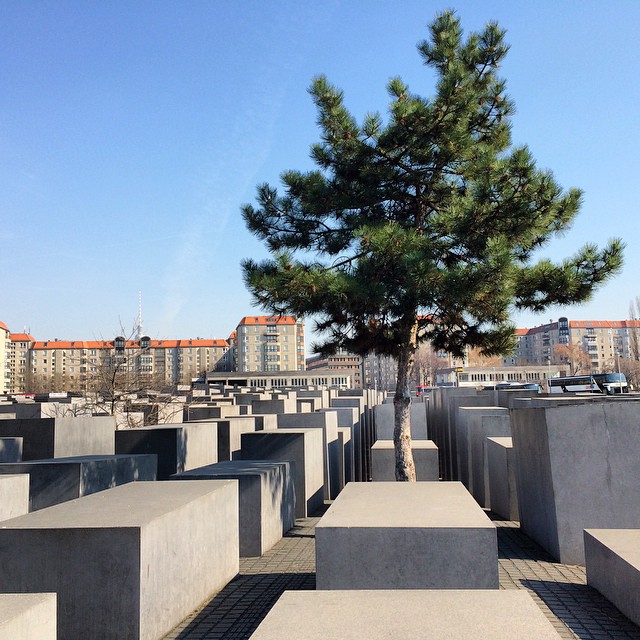 berlin memorial holocaustmemorial tree