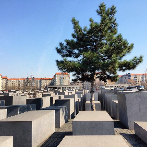 berlin memorial holocaustmemorial tree