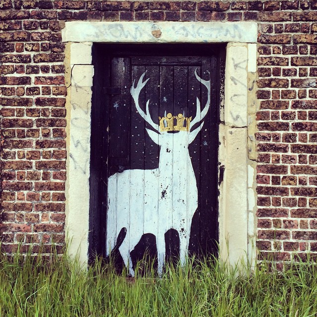 The most regal stag of Blackheath