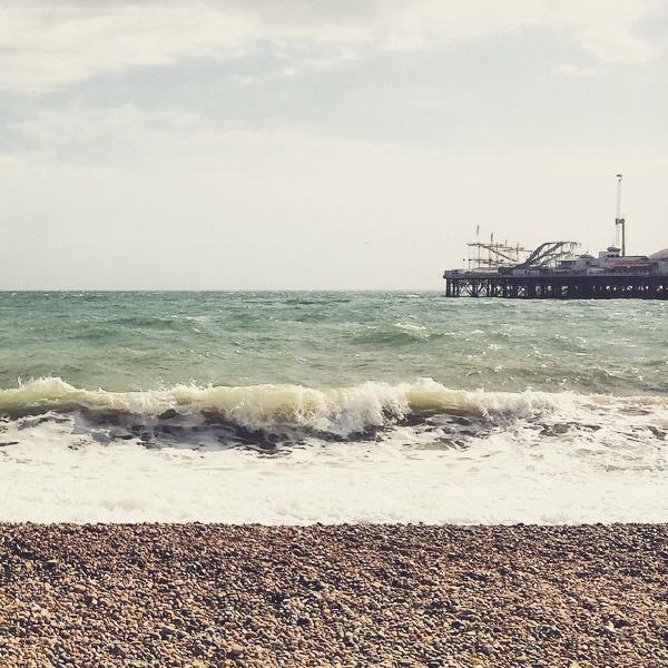 White horses at the beach