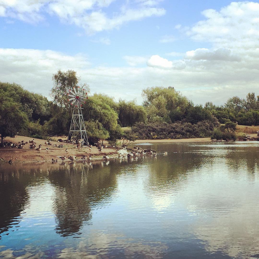 A splash of nature in Newham