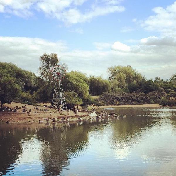 A splash of nature in Newham