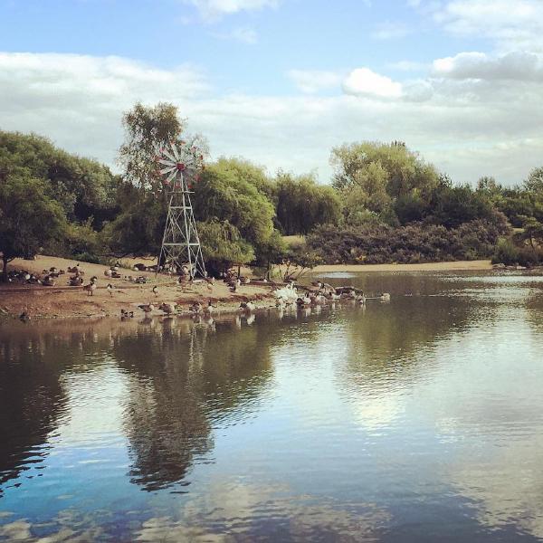 A splash of nature in Newham