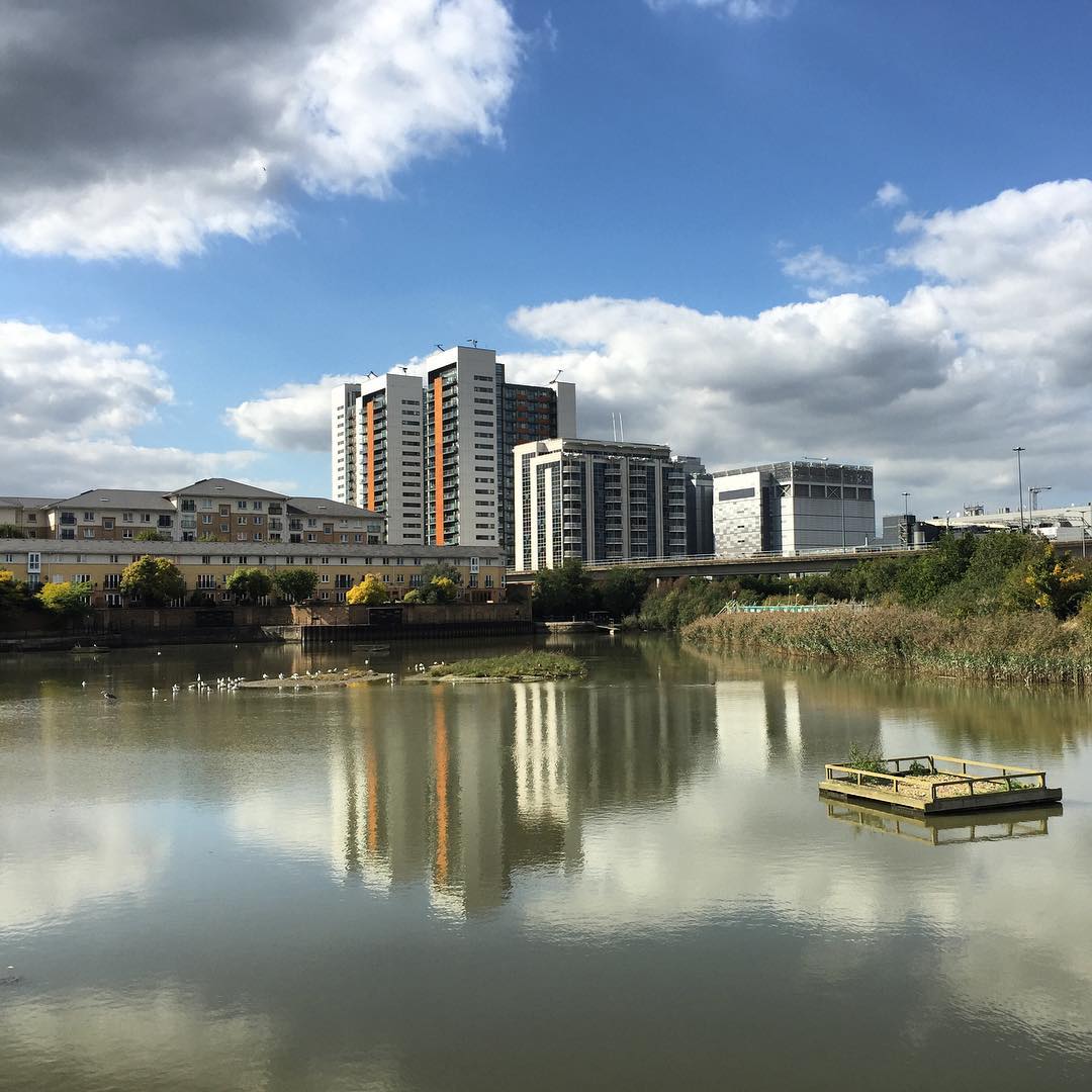 Reflections in East India Dock