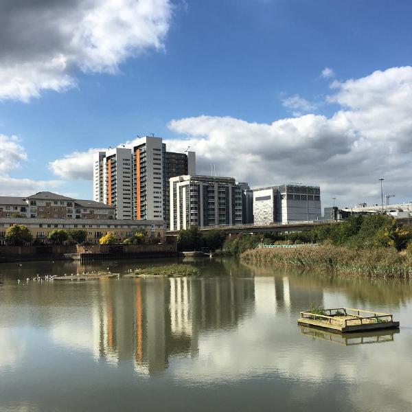 Reflections in East India Dock