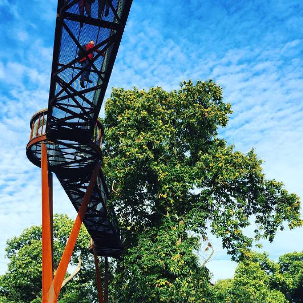 A walk through the treetops