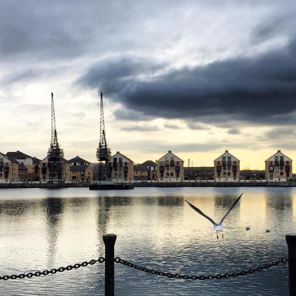 Flying over the docks