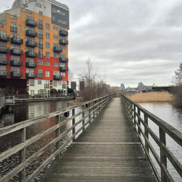 Greenwich Peninsula Ecology Park