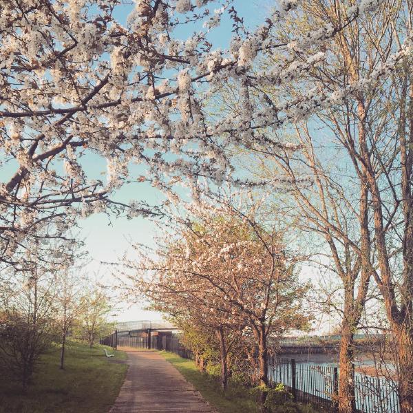 Spring in Bow Creek Ecology Park