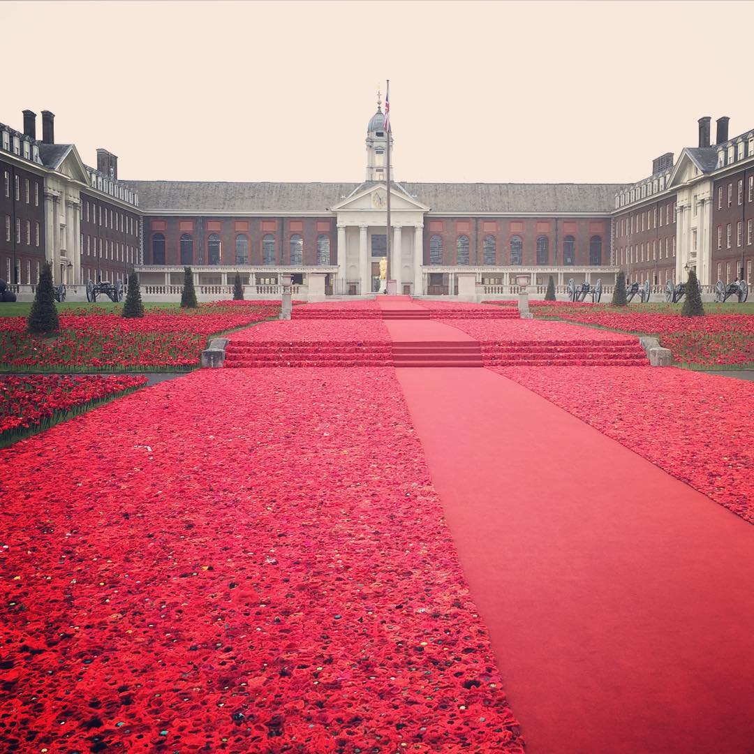 5000 Poppies at the Chelsea Flower Show