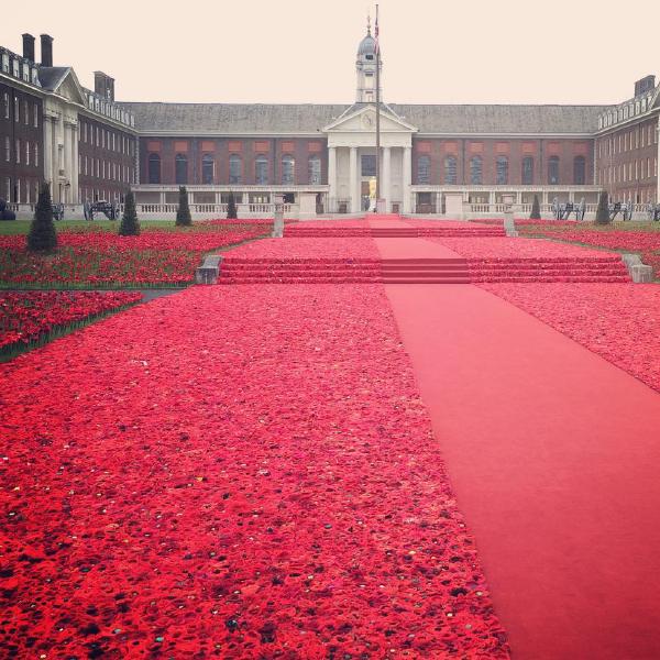 5000 Poppies at the Chelsea Flower Show