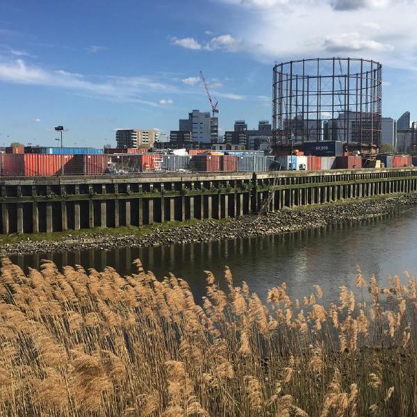 Poplar Reach from Cody Dock